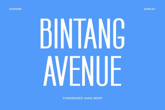 Bintang Avenue: A Clean Sans Serif Font for Small Business Branding