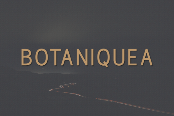 Botaniquea: A Modern Sans Serif Typeface for Digital Clarity