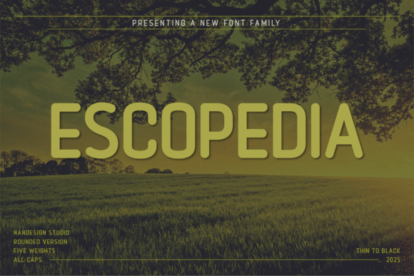 Escopedia Rounded: A Warm, Clear Sans Serif for Digital Brands