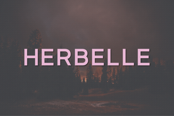 Herbelle: A Calm, Confident Sans Serif for Editorial Clarity