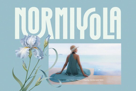 Normiyola: A Display Font That Elevates Digital Branding
