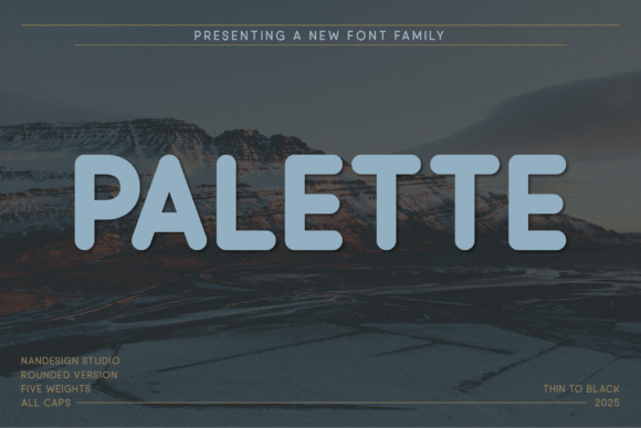 Palette Rounded: A Warm, Professional Sans Serif Font for Small Businesses