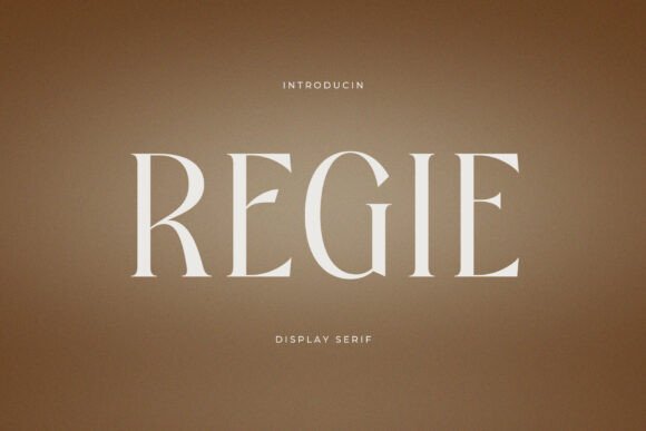 Regie: A Modern Serif Font for Digital Branding