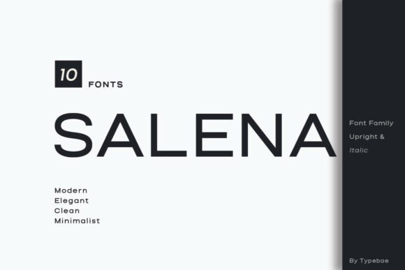 Salena: A Sans Serif Typeface for Quiet Confidence