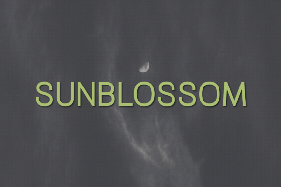 Sunblossom: A Modern Sans Serif Typeface for Scroll-Stopping Marketing