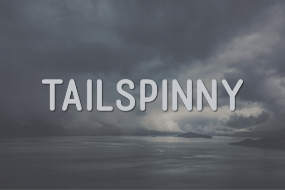 Tailspinny: A Clean Sans Serif Font for Real Business Branding