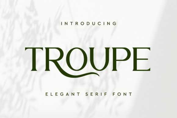 Troupe: A Serif Font That Makes Your Campaigns Instantly Clearer