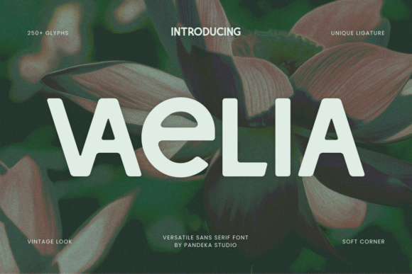 Vaelia: A Nature-Inspired Display Font for Digital Branding
